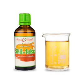Húževnatec jedlý - Bylinné kvapky (tinktúra) Duša rastlín 50 ml