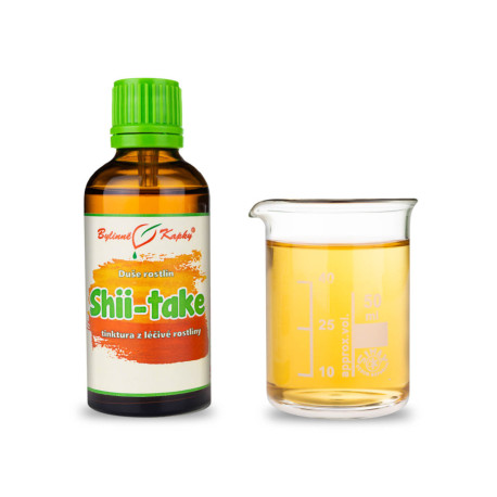 Húževnatec jedlý - Bylinné kvapky (tinktúra) Duša rastlín 50 ml