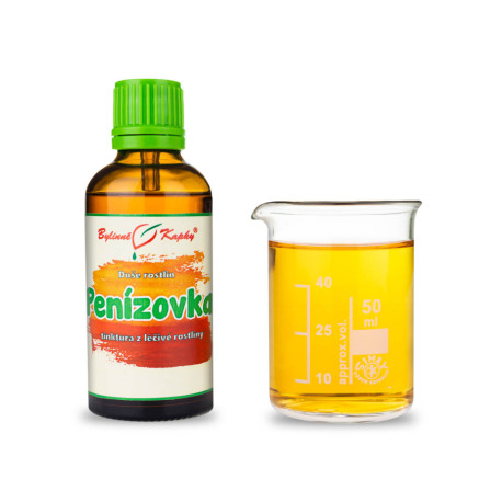 Plamienka zimná - Bylinné kvapky (tinktúra) Duša rastlín 50 ml