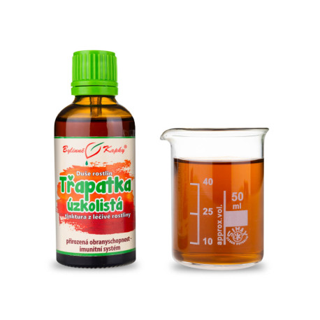 Echinacea angustifolia (Echinacea úzkolistá) - Bylinné kvapky (tinktúra) Duša rastlín 50 ml