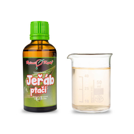 Jarabina vtáčia púčiky 50 ml - gemmoterapie
