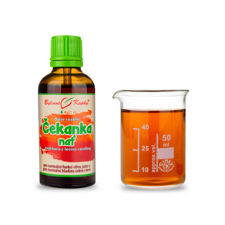 Čakanka obyčajná - Bylinné kvapky (tinktúra) Duša rastlín 50 ml