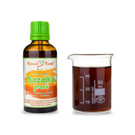 Bazalka pravá - kvapky Duša rastlín (tinktúra) 50 ml