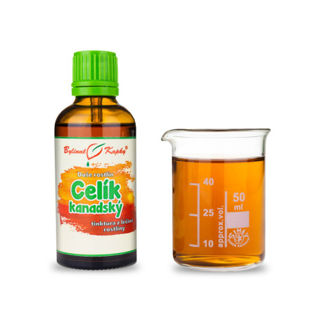 Zlatobyľ kanadská - kvapky Duša rastlín (tinktúra) 50 ml