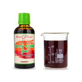 Ríbezľa čierna plod - Duša rastlín (tinktura) 50 ml