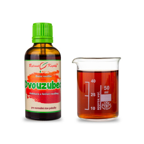 Dvojzub trojdielny - Bylinné kvapky (tinktúra) Duša rastlín 50 ml