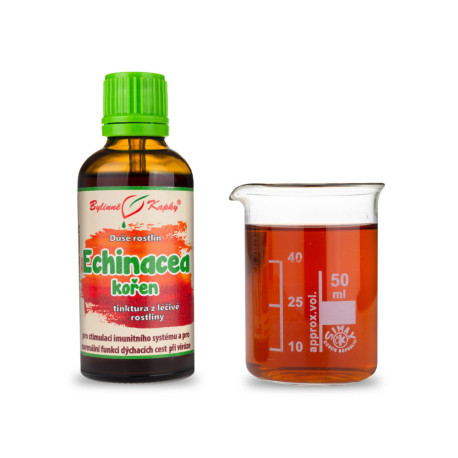 Echinacea purpurová koreň - Bylinné kvapky (tinktúra) Duša rastlín 50 ml