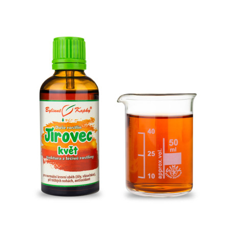 Pagaštan konský kvet - Bylinné kvapky (tinktúra) Duša rastlín 50 ml
