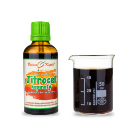 Skorocel kopijovitý - Bylinné kvapky (tinktúra) Duša rastlín 50 ml