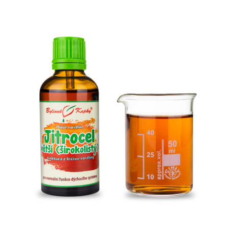 Skorocel väčší - Bylinné kvapky (tinktúra) Duša rastlín 50 ml