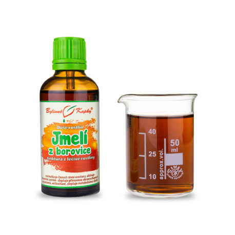 Imelo z borovice - Bylinné kvapky (tinktúra) Duša rastlín 50 ml