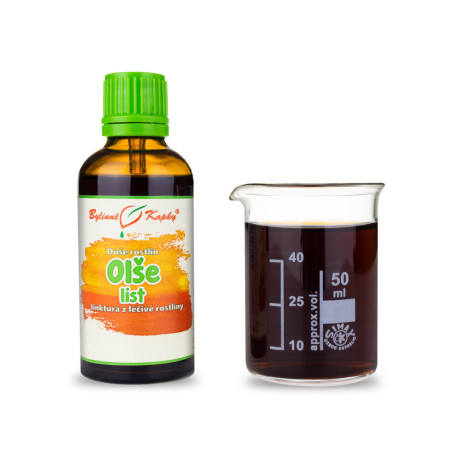 Jelša lepkavá list - Bylinné kvapky (tinktúra) Duša rastlín 50 ml