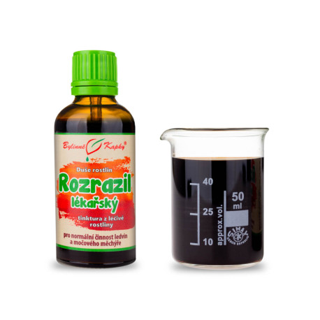 Veronika lekárska - Bylinné kvapky (tinktúra) Duša rastlín 50 ml