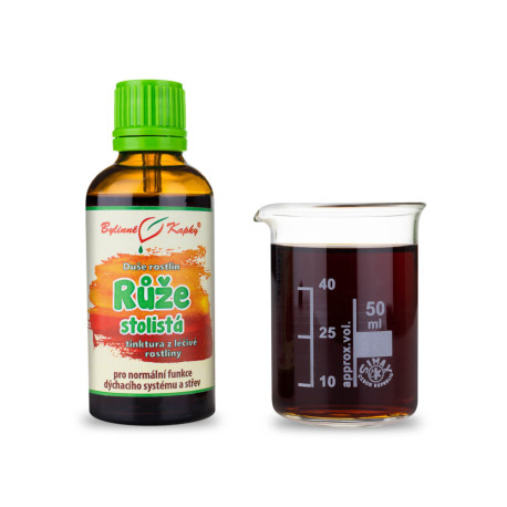 Ruža stolistá - Bylinné kvapky (tinktúra) Duša rastlín 50 ml