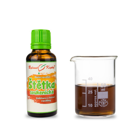 Štětka soukenická - Bylinné kvapky (tinktúra) Duša rastlín 30 ml