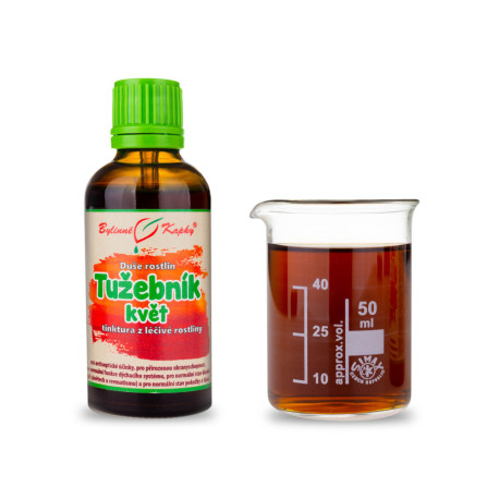 Túžobník brestový kvet - Bylinné kvapky (tinktúra) Duša rastlín 50 ml