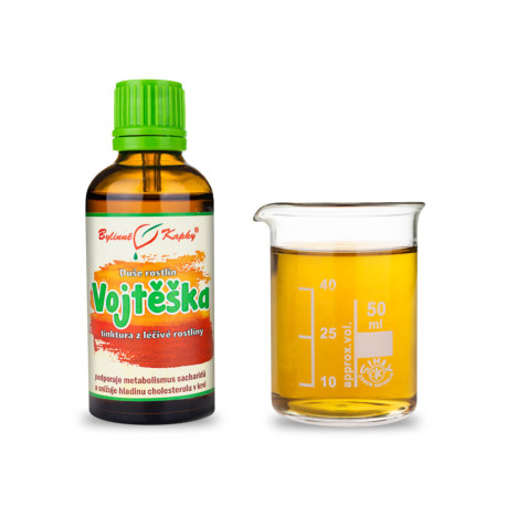 Lucerna siata - Bylinné kvapky (tinktúra) Duša rastlín 50 ml