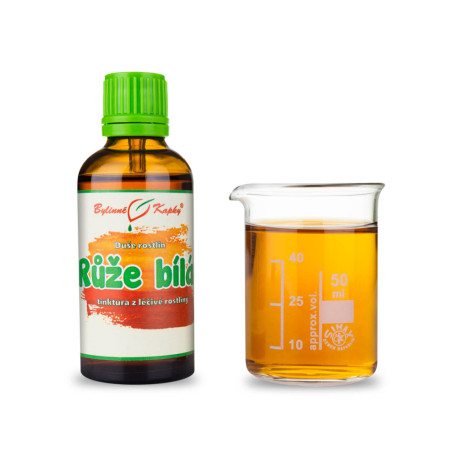 Ruža biela - Bylinné kvapky (tinktúra) Duša rastlín 50 ml