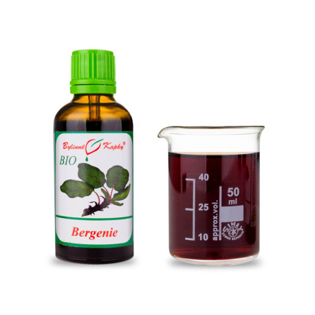 Bergénia tučnolistá BIO kvapky (tinktúra) 50 ml