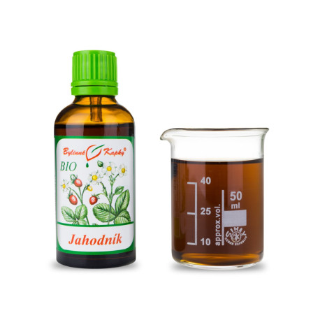 Jahoda list + kvet BIO kvapky (tinktúra) 50 ml
