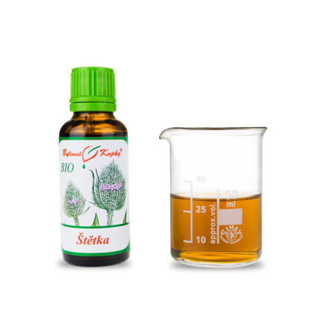 Štětka soukenická BIO kvapky (tinktúra) 30 ml
