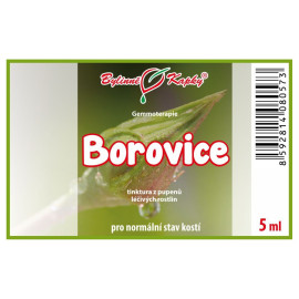 Borovica púčiky 5 ml - gemmoterapie