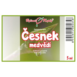 Cesnak medvedí puky 5 ml - gemmoterapie