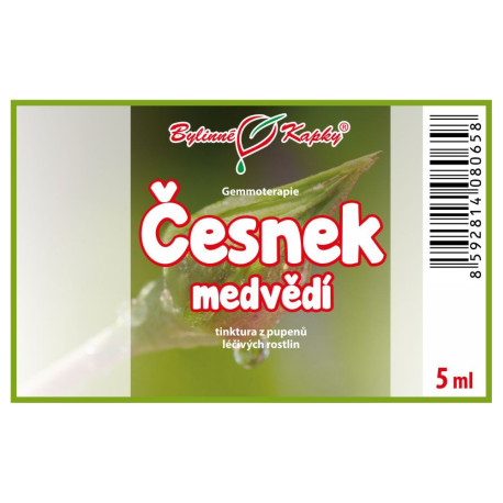 Cesnak medvedí puky 5 ml - gemmoterapie