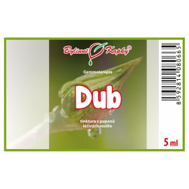 Dub púčiky 5 ml - gemmoterapie