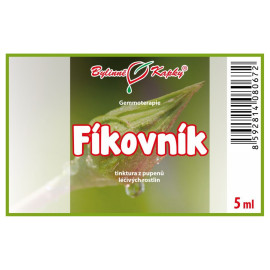 Figovník púčiky 5 ml - gemmoterapie