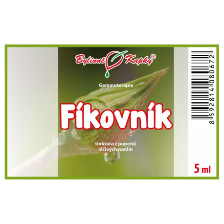 Figovník púčiky 5 ml - gemmoterapie