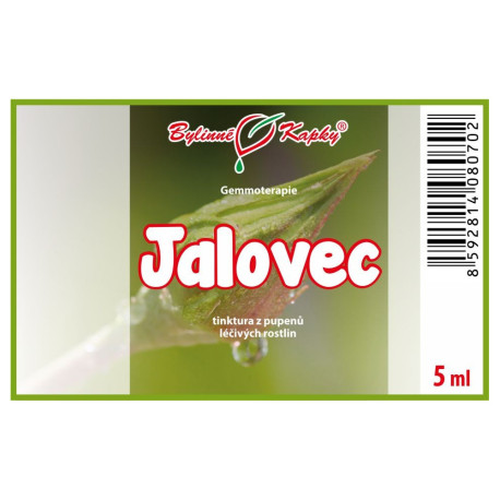 Borievka obyčajná púčiky 5 ml - gemmoterapie