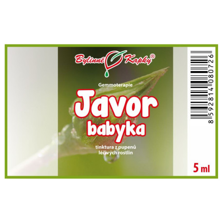 Javor poľný púčiky 5 ml - gemmoterapie