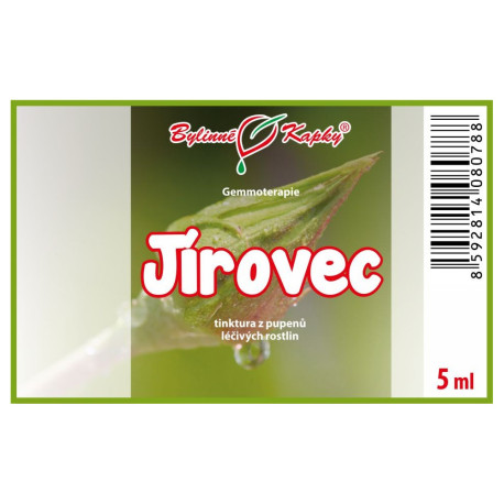 Pagaštan konský púčiky 5 ml - gemmoterapie