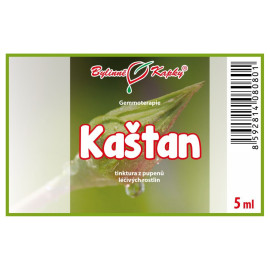 Gaštan púčiky 5 ml - gemmoterapie