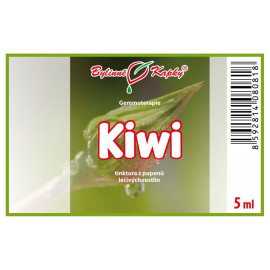 Aktinídia lahodná púčiky 5 ml - gemmoterapie