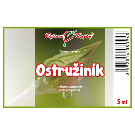Ostružina púčiky 5 ml - gemmoterapie