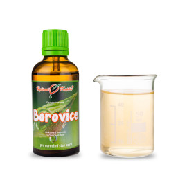 Borovica lesná púčiky 50 ml - gemmoterapie