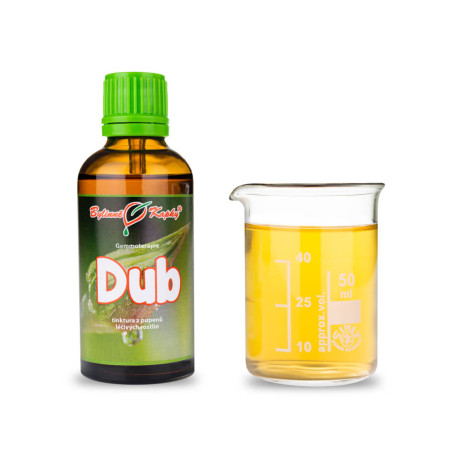 Dub púčiky 50 ml - gemmoterapie