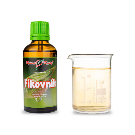 Fíkovník púčiky 50 ml - gemmoterapie
