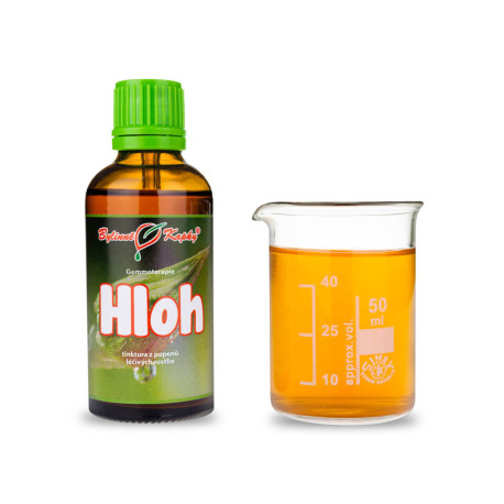 Hloh púčiky 50 ml - gemmoterapie
