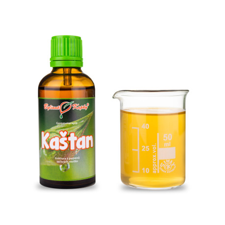 Gaštan jedlý púčiky 50 ml - gemmoterapie