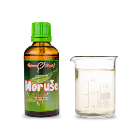 Moruša čierna púčiky 50 ml - gemmoterapie