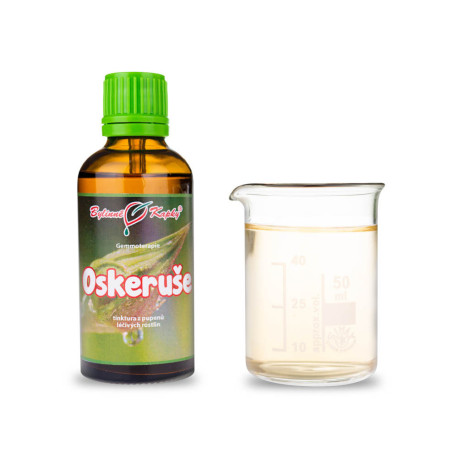 Jarabina oskorušová púčiky 50 ml - gemmoterapie