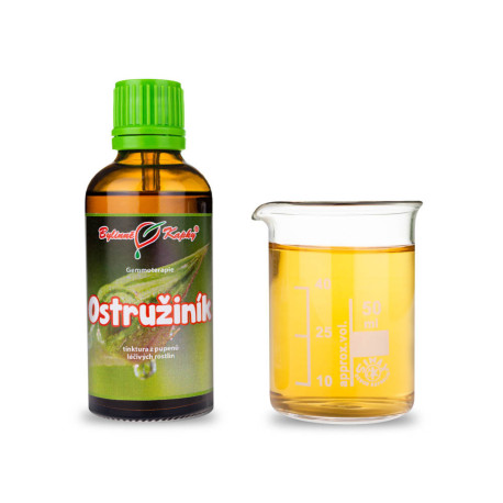 Ostružina černicová púčiky 50 ml - gemmoterapie