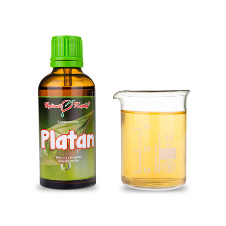 Platan púčiky 50 ml - gemmoterapie