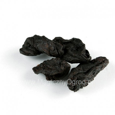 Garcinia plod - Garcinia cambodia - 100g sekaný