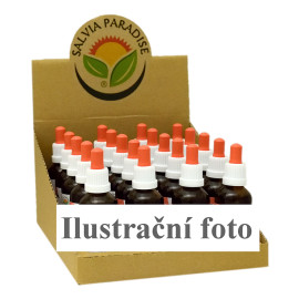 CZ BOX Forest brush AF tinktúra 20 x 50 ml