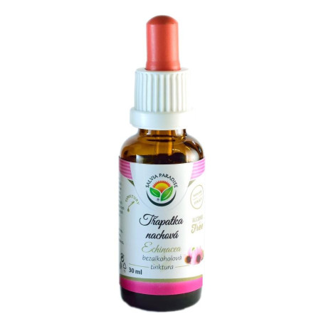 Echinacea - Coneflower Purple AF Tincture 30ml