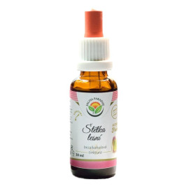 Tinktúra Forest Brush AF 30 ml
